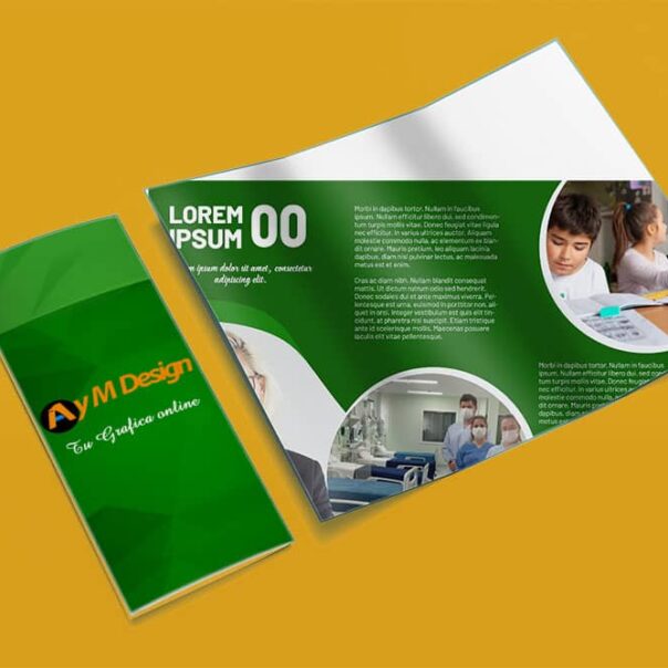 Flyers y Folletos en general