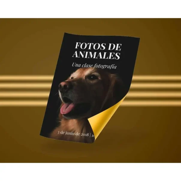 Folletos, Afiches, flyers y folders