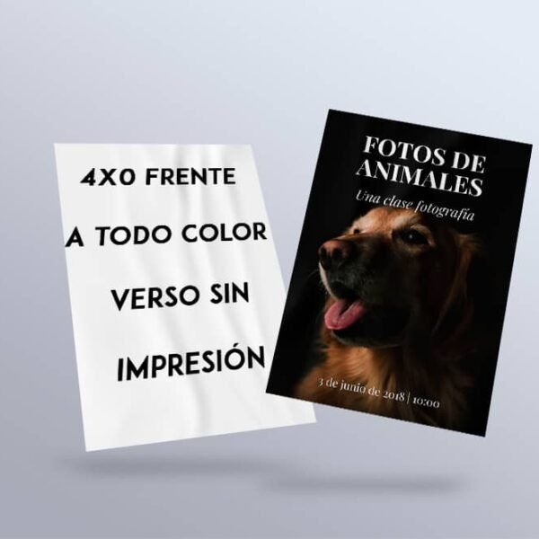 Folletos-Flyers-4X0-2 Folletos, flyers, folders a todo color frente